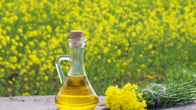 Rapeseed Oil