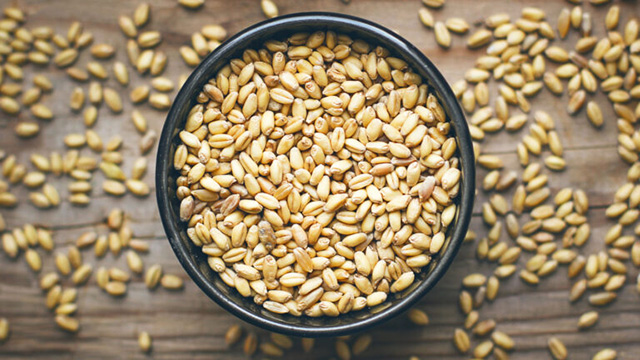 Wheat
